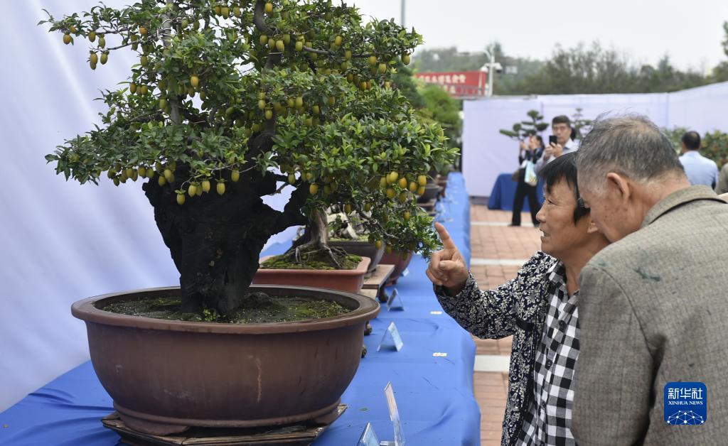 ag平台官网